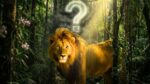 existe leão na floresta amazônica?. Um leão no meio da floresta amazônica, e uma interrogação no meio.